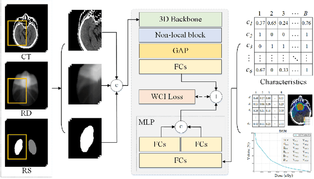 Figure 3 for Weighted Concordance Index Loss-based Multimodal Survival Modeling for Radiation Encephalopathy Assessment in Nasopharyngeal Carcinoma Radiotherapy
