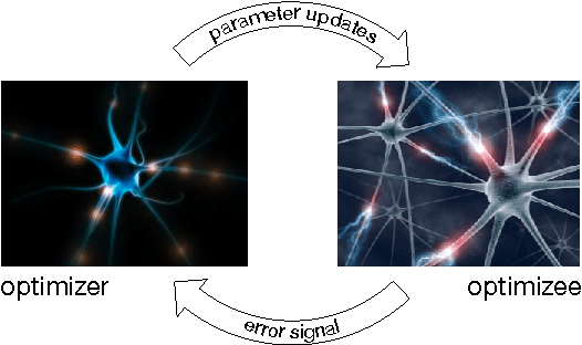 Figure 1 for Learning to learn by gradient descent by gradient descent