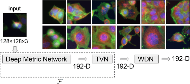 Figure 1 for Correcting Nuisance Variation using Wasserstein Distance