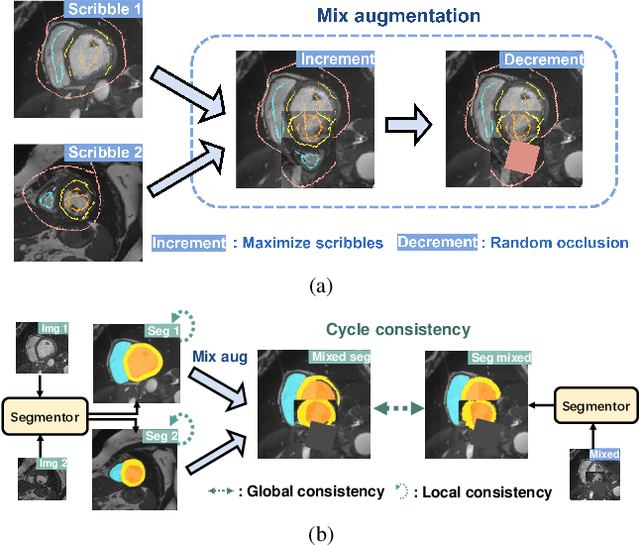 Figure 1 for CycleMix: A Holistic Strategy for Medical Image Segmentation from Scribble Supervision