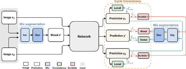 Figure 3 for CycleMix: A Holistic Strategy for Medical Image Segmentation from Scribble Supervision