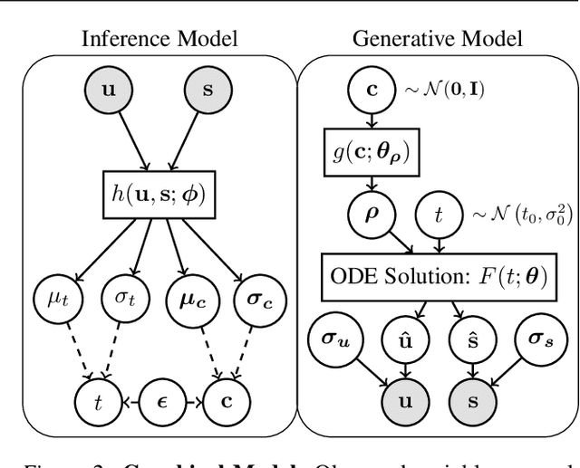 Figure 3 for Variational Mixtures of ODEs for Inferring Cellular Gene Expression Dynamics