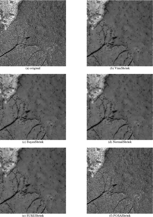 Figure 4 for New wavelet-based superresolution algorithm for speckle reduction in SAR images