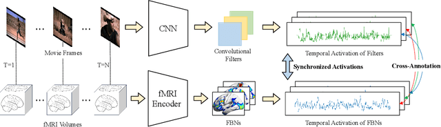 Figure 1 for Coupling Visual Semantics of Artificial Neural Networks and Human Brain Function via Synchronized Activations