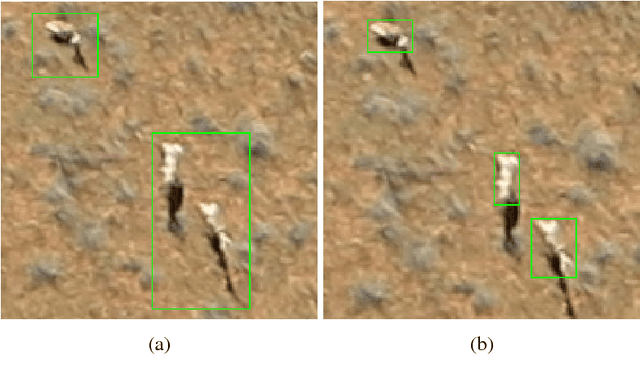 Figure 1 for Detecting Mammals in UAV Images: Best Practices to address a substantially Imbalanced Dataset with Deep Learning