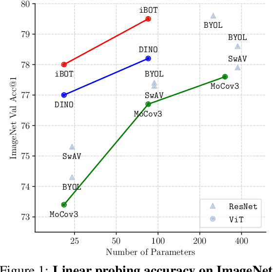 Figure 1 for iBOT: Image BERT Pre-Training with Online Tokenizer