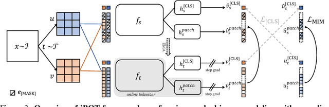 Figure 3 for iBOT: Image BERT Pre-Training with Online Tokenizer