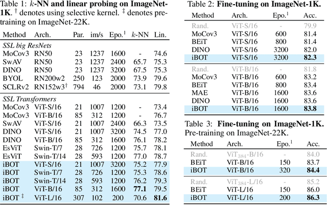Figure 4 for iBOT: Image BERT Pre-Training with Online Tokenizer