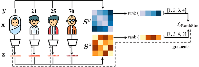 Figure 1 for RankSim: Ranking Similarity Regularization for Deep Imbalanced Regression
