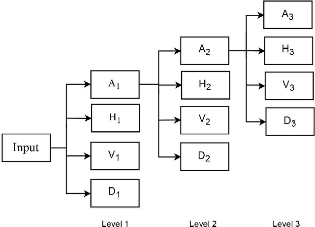 Figure 1 for Multi-Path Learnable Wavelet Neural Network for Image Classification