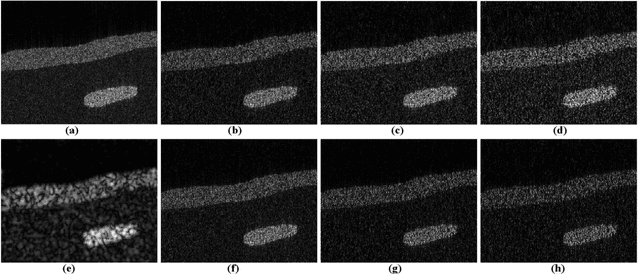 Figure 1 for Reconstruction of Enhanced Ultrasound Images From Compressed Measurements Using Simultaneous Direction Method of Multipliers