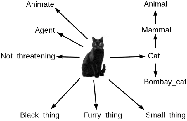 Figure 4 for A mosaic of Chu spaces and Channel Theory with applications to Object Identification and Mereological Complexity