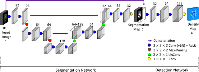 Figure 1 for Joint Cell Nuclei Detection and Segmentation in Microscopy Images Using 3D Convolutional Networks