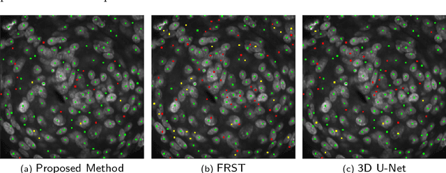 Figure 3 for Joint Cell Nuclei Detection and Segmentation in Microscopy Images Using 3D Convolutional Networks