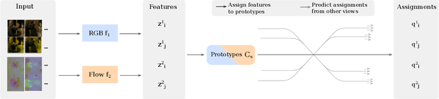 Figure 3 for Self-supervised Video Representation Learning with Cross-Stream Prototypical Contrasting