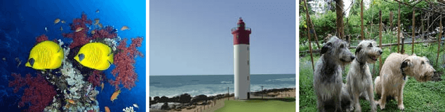 Figure 1 for Salient Object Subitizing