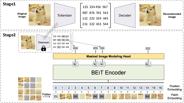 Figure 3 for A Survey on Masked Autoencoder for Self-supervised Learning in Vision and Beyond