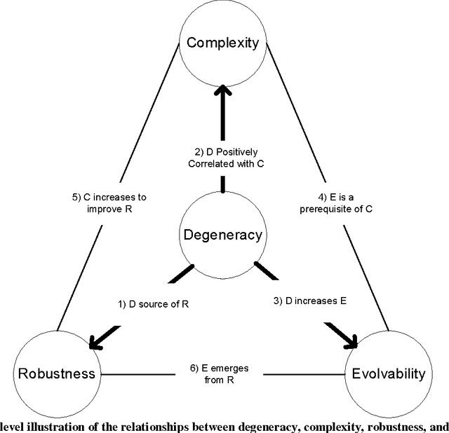 Figure 2 for Degeneracy: a link between evolvability, robustness and complexity in biological systems