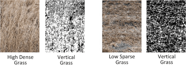 Figure 1 for Density Weighted Connectivity of Grass Pixels in Image Frames for Biomass Estimation