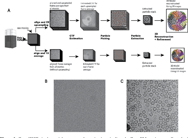 Figure 1 for Cryo-ZSSR: multiple-image super-resolution based on deep internal learning