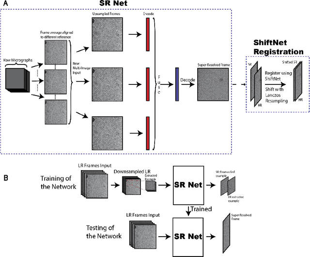 Figure 2 for Cryo-ZSSR: multiple-image super-resolution based on deep internal learning