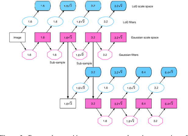 Figure 3 for A Resilient Image Matching Method with an Affine Invariant Feature Detector and Descriptor