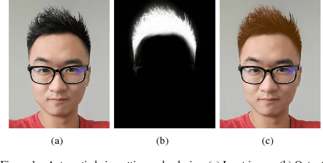 Figure 1 for Real-time deep hair matting on mobile devices