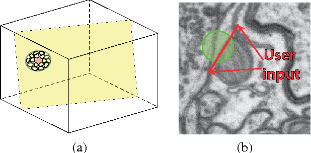 Figure 3 for Introducing Geometry in Active Learning for Image Segmentation