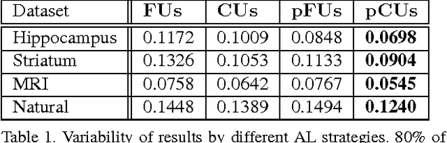 Figure 2 for Introducing Geometry in Active Learning for Image Segmentation