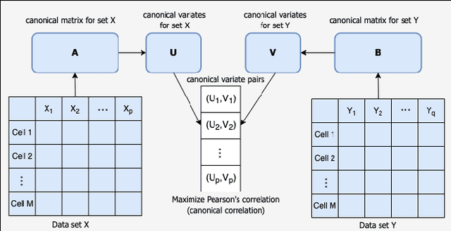 Figure 1 for A canonical correlation-based framework for performance analysis of radio access networks