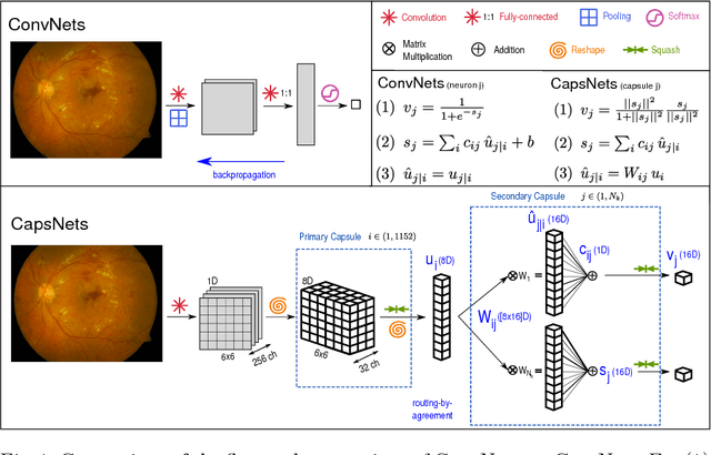 Figure 1 for Capsule Networks against Medical Imaging Data Challenges