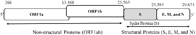 Figure 1 for Efficient Approximate Kernel Based Spike Sequence Classification
