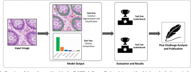 Figure 1 for CoNIC: Colon Nuclei Identification and Counting Challenge 2022