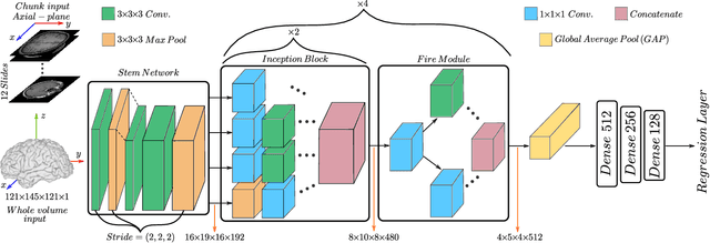 Figure 1 for Organ-based Age Estimation based on 3D MRI Scans