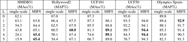 Figure 2 for Beyond Gaussian Pyramid: Multi-skip Feature Stacking for Action Recognition