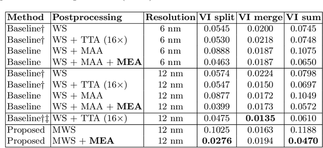 Figure 2 for Learning Dense Voxel Embeddings for 3D Neuron Reconstruction