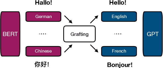 Figure 1 for Multilingual Translation via Grafting Pre-trained Language Models