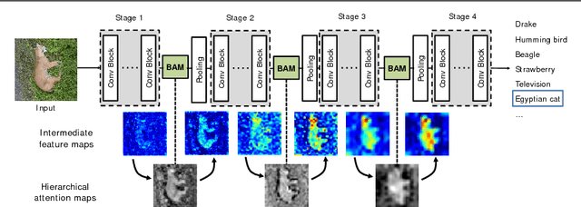 Figure 1 for BAM: Bottleneck Attention Module