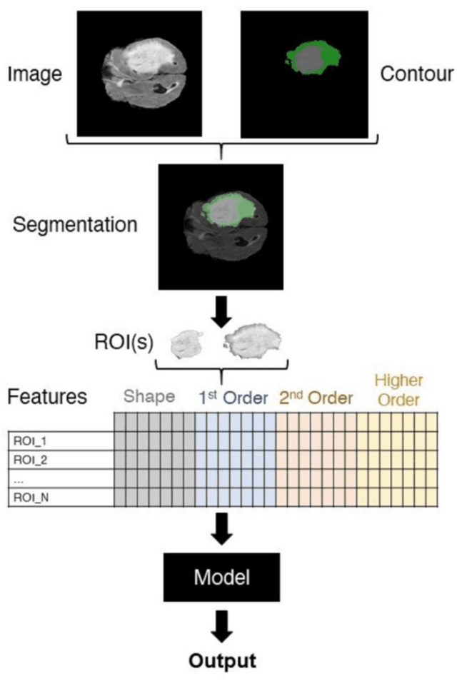 Figure 1 for Open-radiomics: A Research Protocol to Make Radiomics-based Machine Learning Pipelines Reproducible