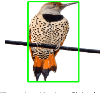 Figure 1 for Improving the trustworthiness of image classification models by utilizing bounding-box annotations