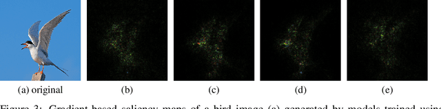 Figure 3 for Improving the trustworthiness of image classification models by utilizing bounding-box annotations