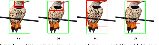 Figure 4 for Improving the trustworthiness of image classification models by utilizing bounding-box annotations