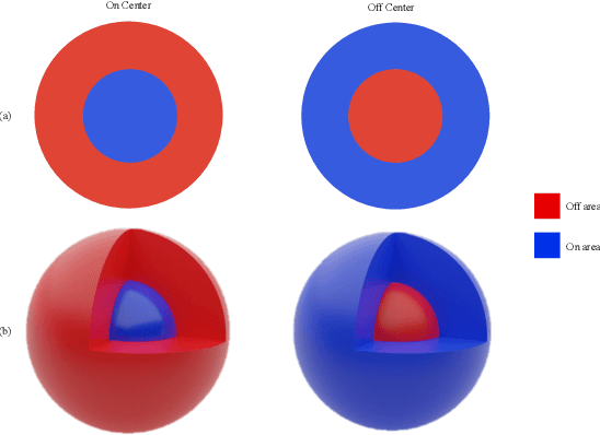 Figure 3 for 3D-OOCS: Learning Prostate Segmentation with Inductive Bias