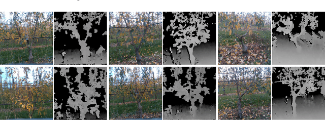 Figure 1 for Semantic Segmentation for Partially Occluded Apple Trees Based on Deep Learning