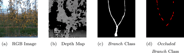 Figure 3 for Semantic Segmentation for Partially Occluded Apple Trees Based on Deep Learning
