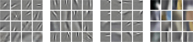 Figure 3 for Fundamental principles of cortical computation: unsupervised learning with prediction, compression and feedback