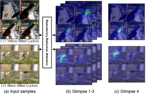 Figure 1 for Fine-grained Video Categorization with Redundancy Reduction Attention