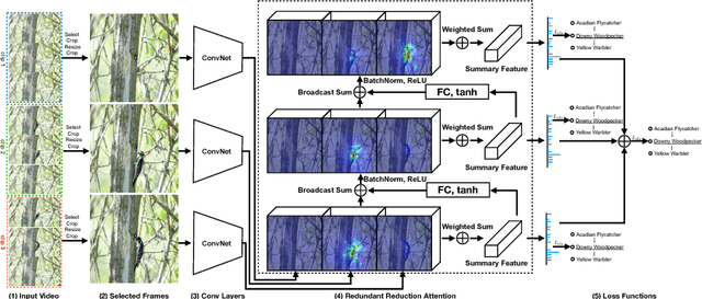 Figure 4 for Fine-grained Video Categorization with Redundancy Reduction Attention