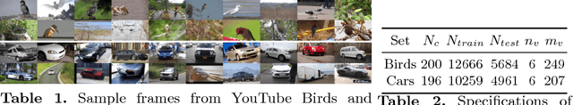 Figure 2 for Fine-grained Video Categorization with Redundancy Reduction Attention