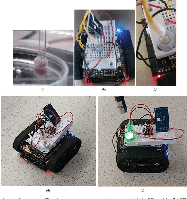 Figure 1 for Belousov-Zhabotinsky liquid marbles in robot control